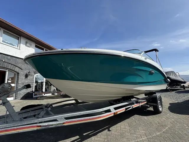 Sea Ray 190SPX